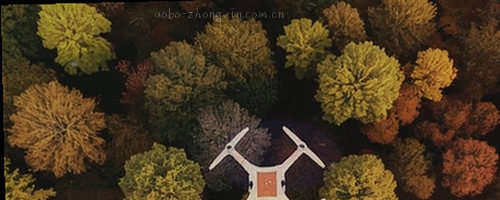 分类表格缩略图